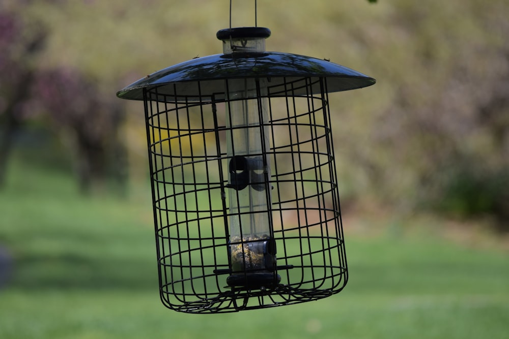 a bird cage with a blue lid