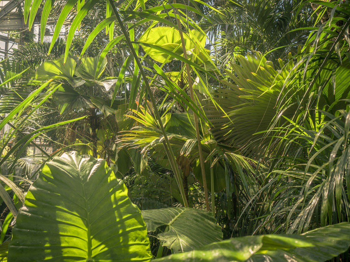 Environnement
