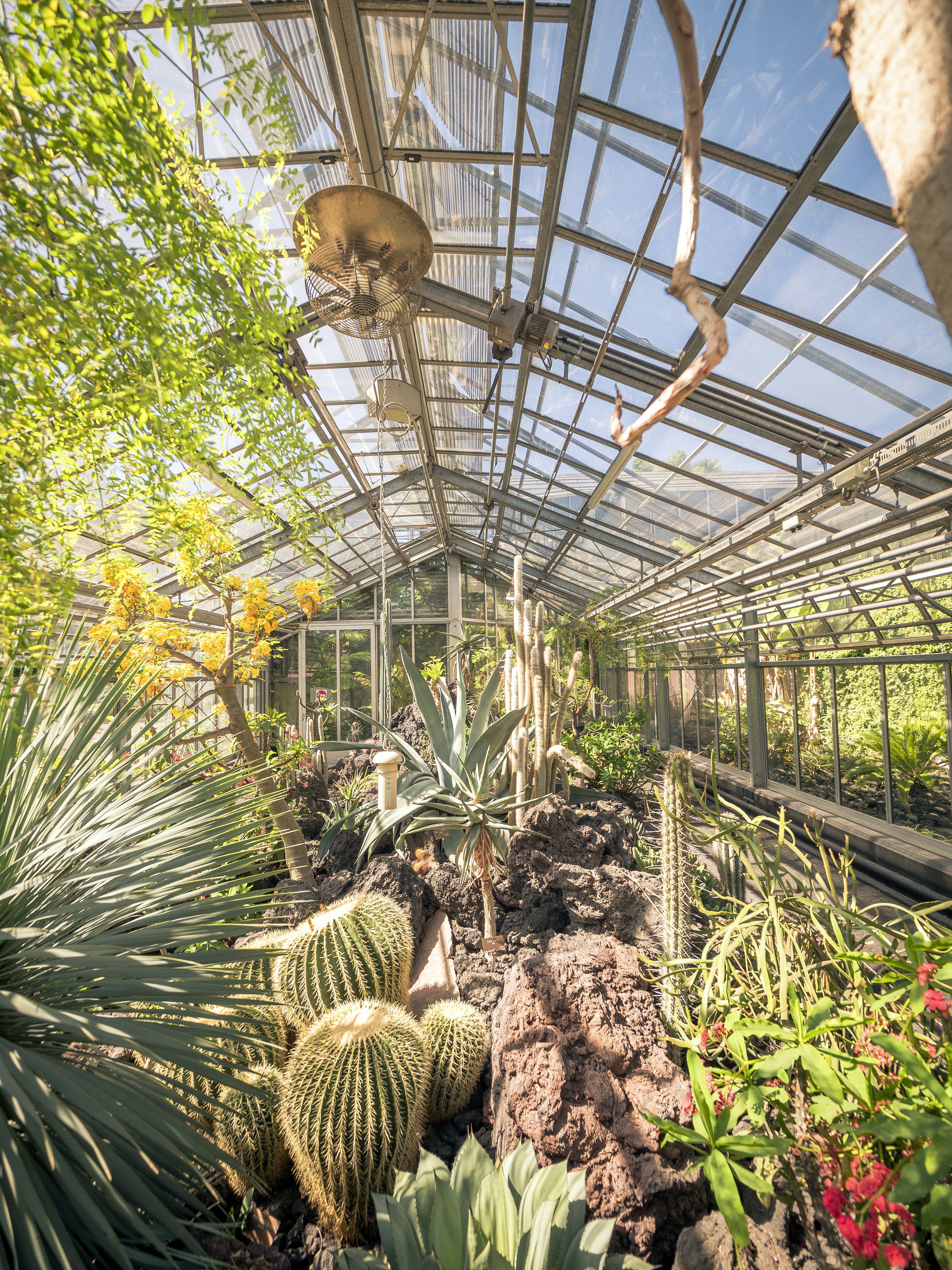 Close up of exotic herbs and botanicals.