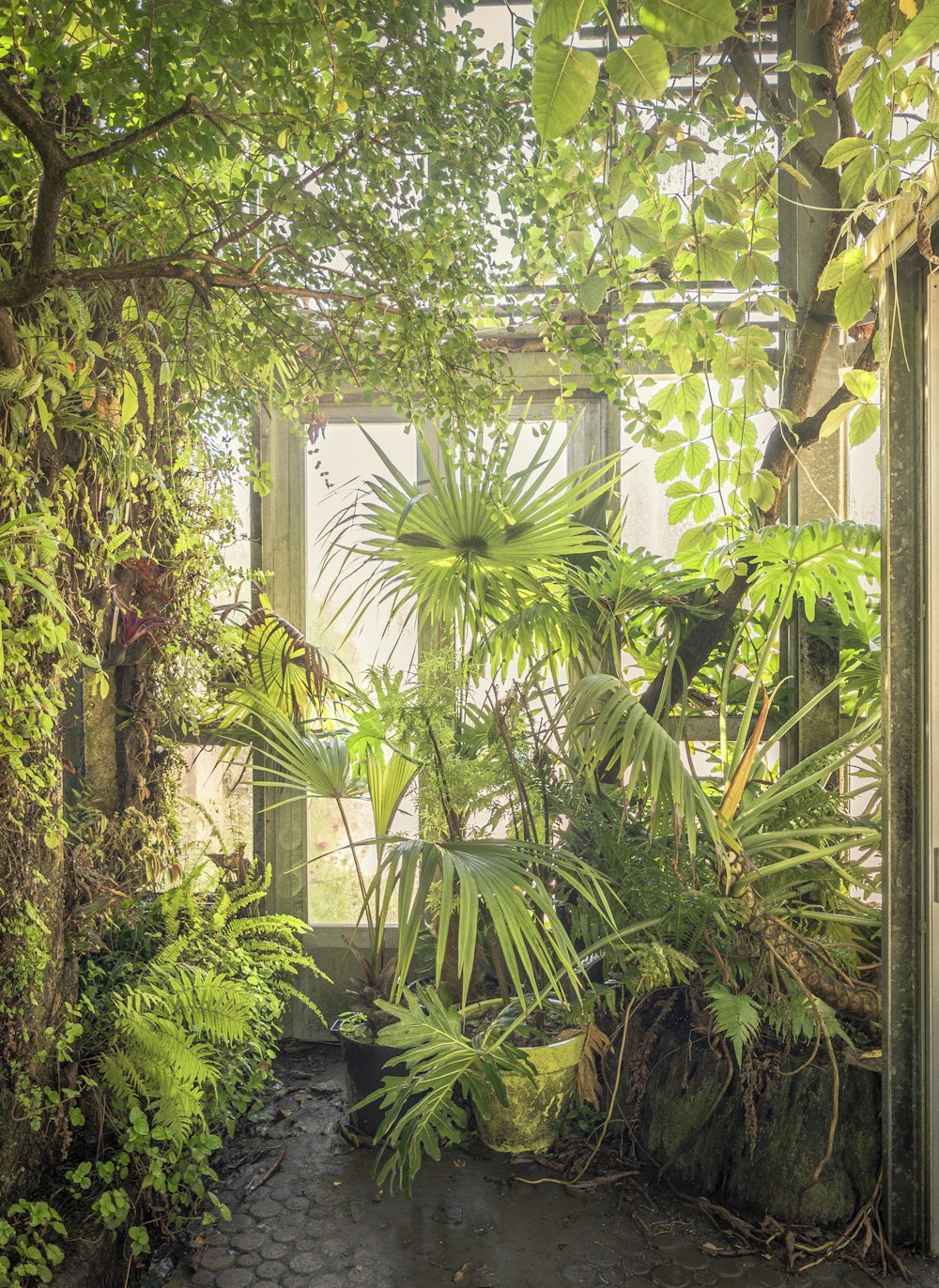 Una casa con plantas y árboles a su alrededor