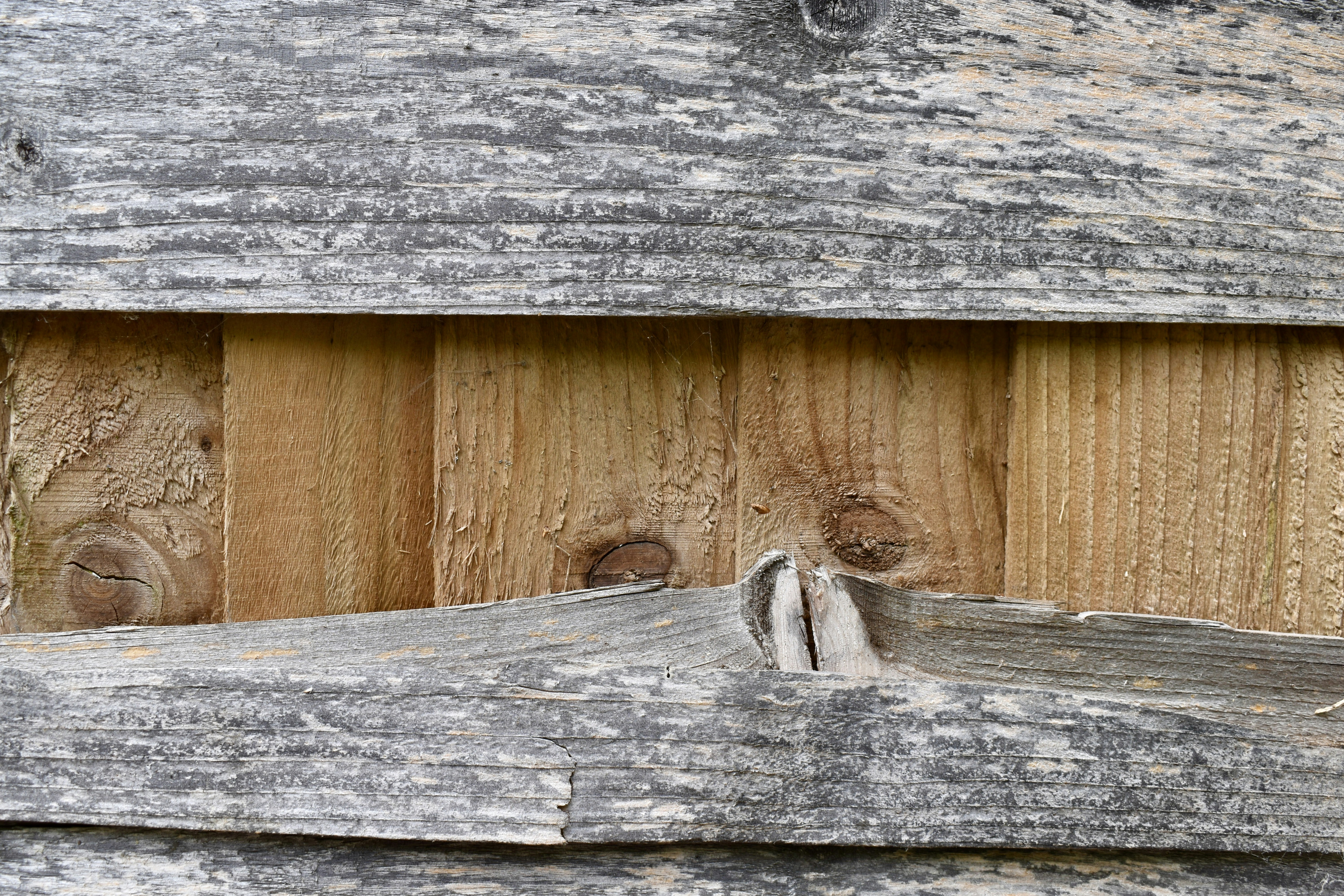 Photo by max_brindley