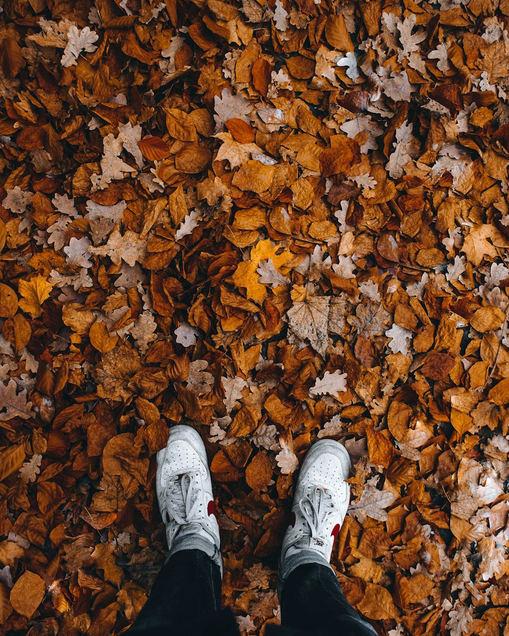 a person's feet in a pile of leaves