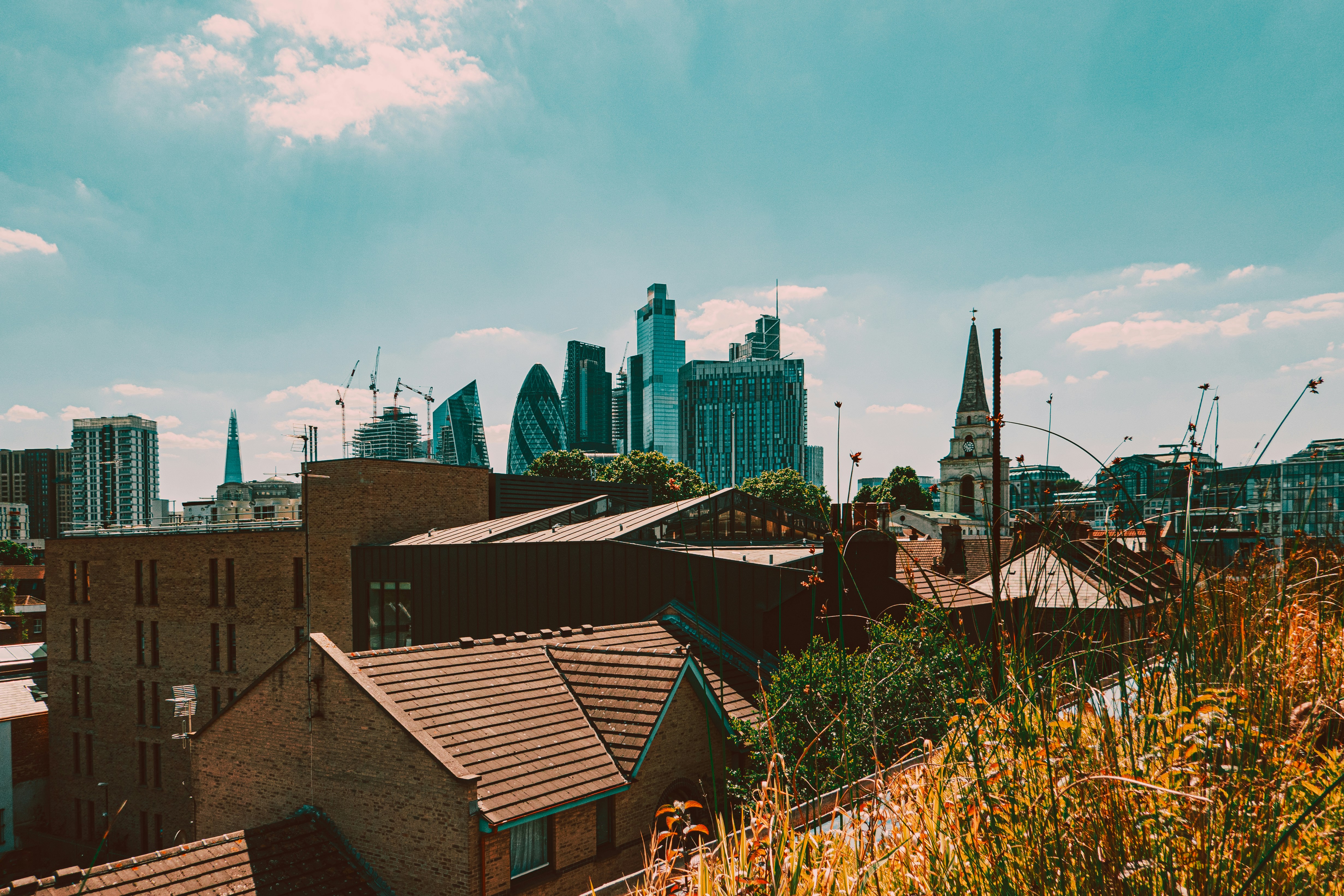 Photo by reganography