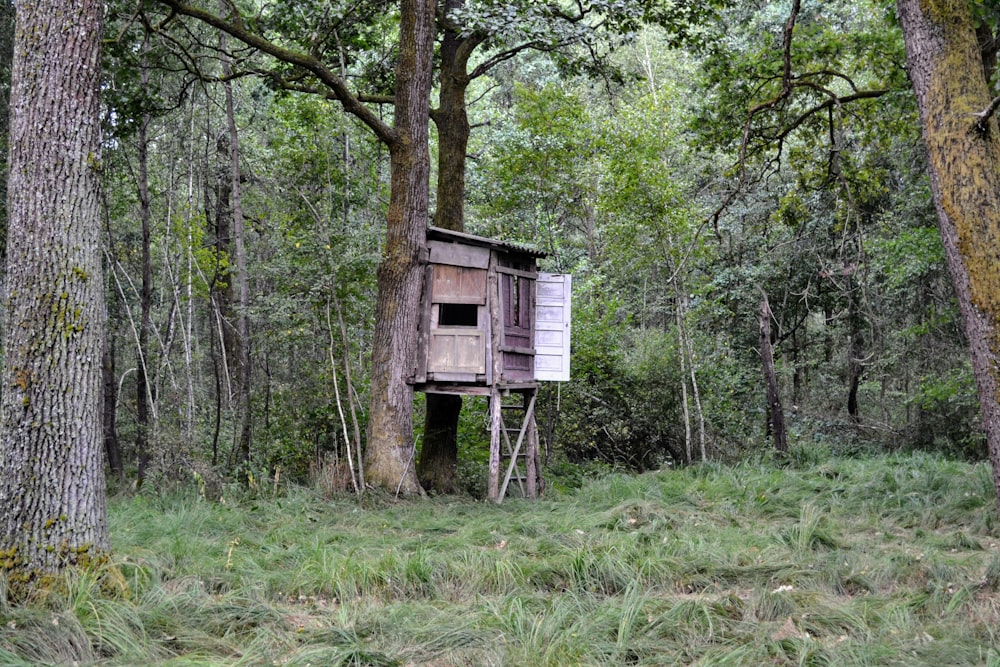 a birdhouse in the woods