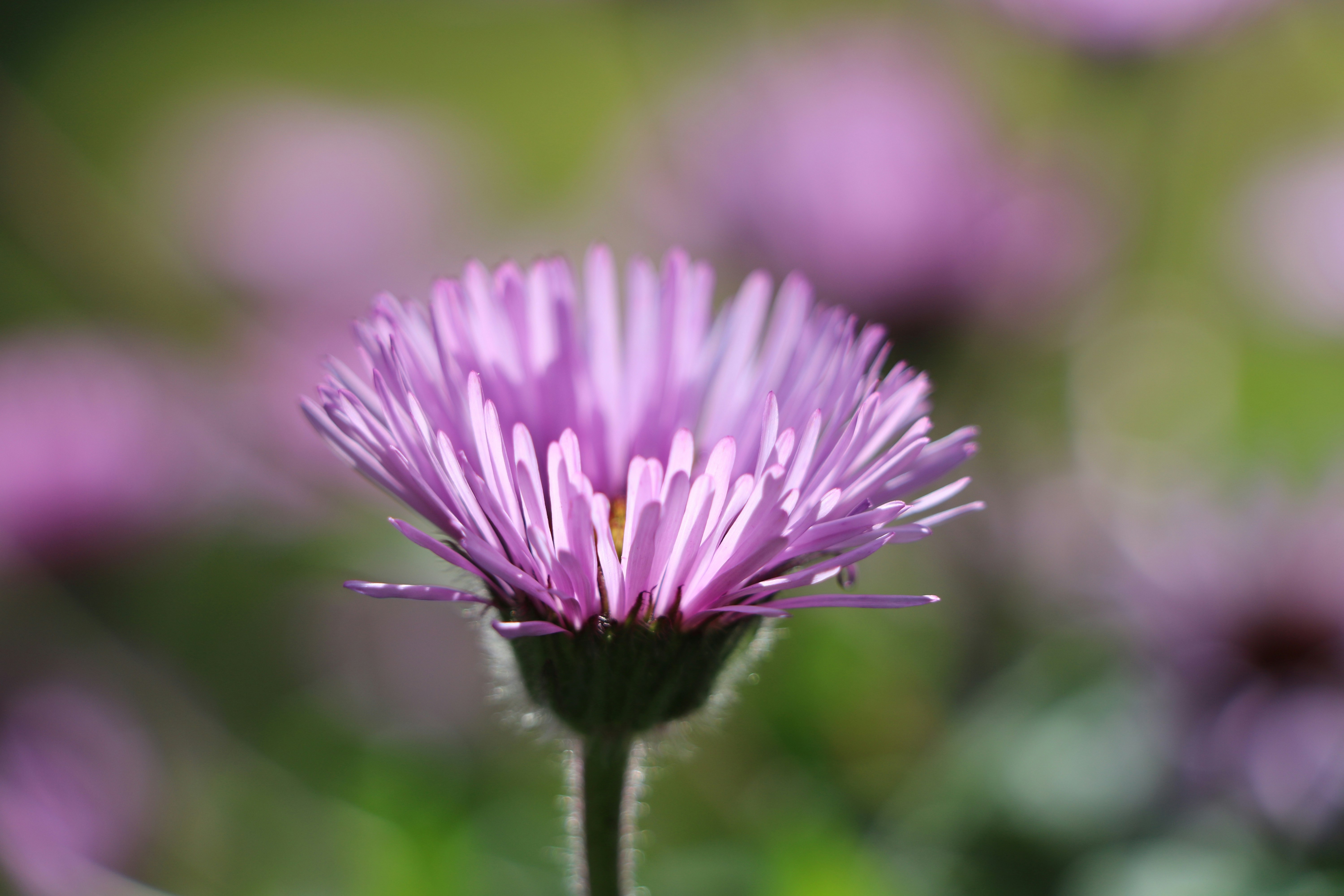 Photo by megsyfglasson