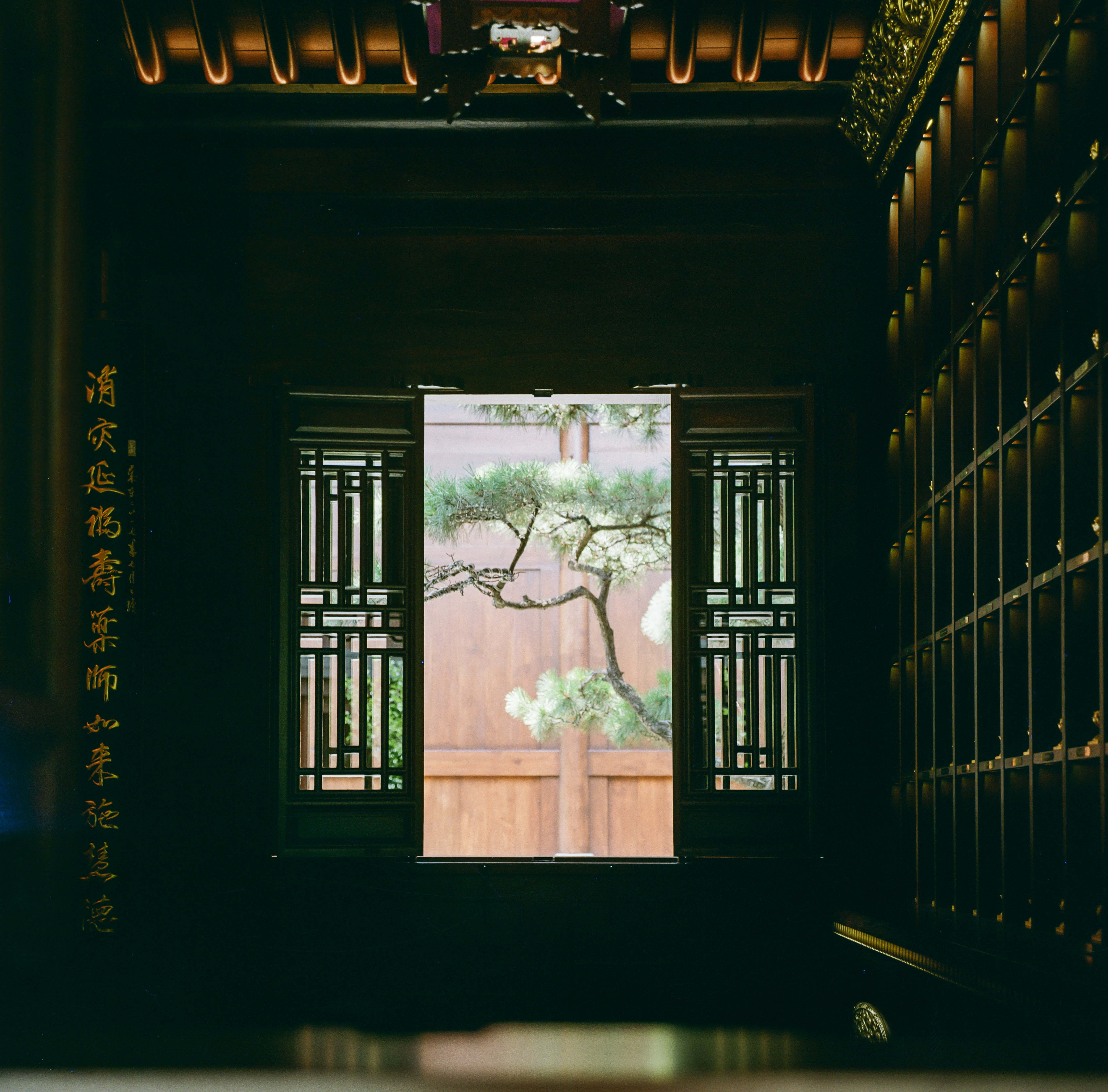 Photo by derekleej