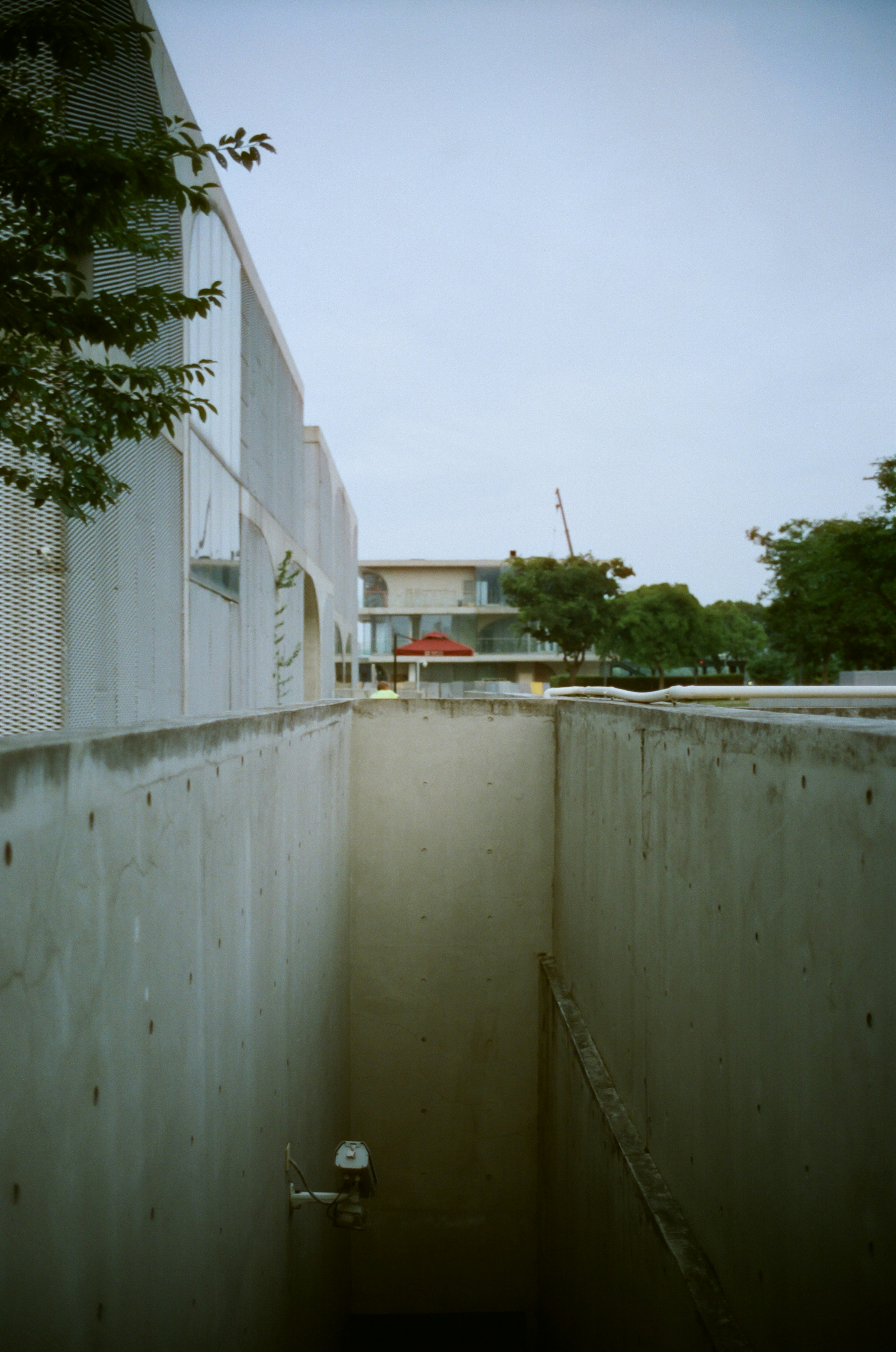 Photo by derekleej