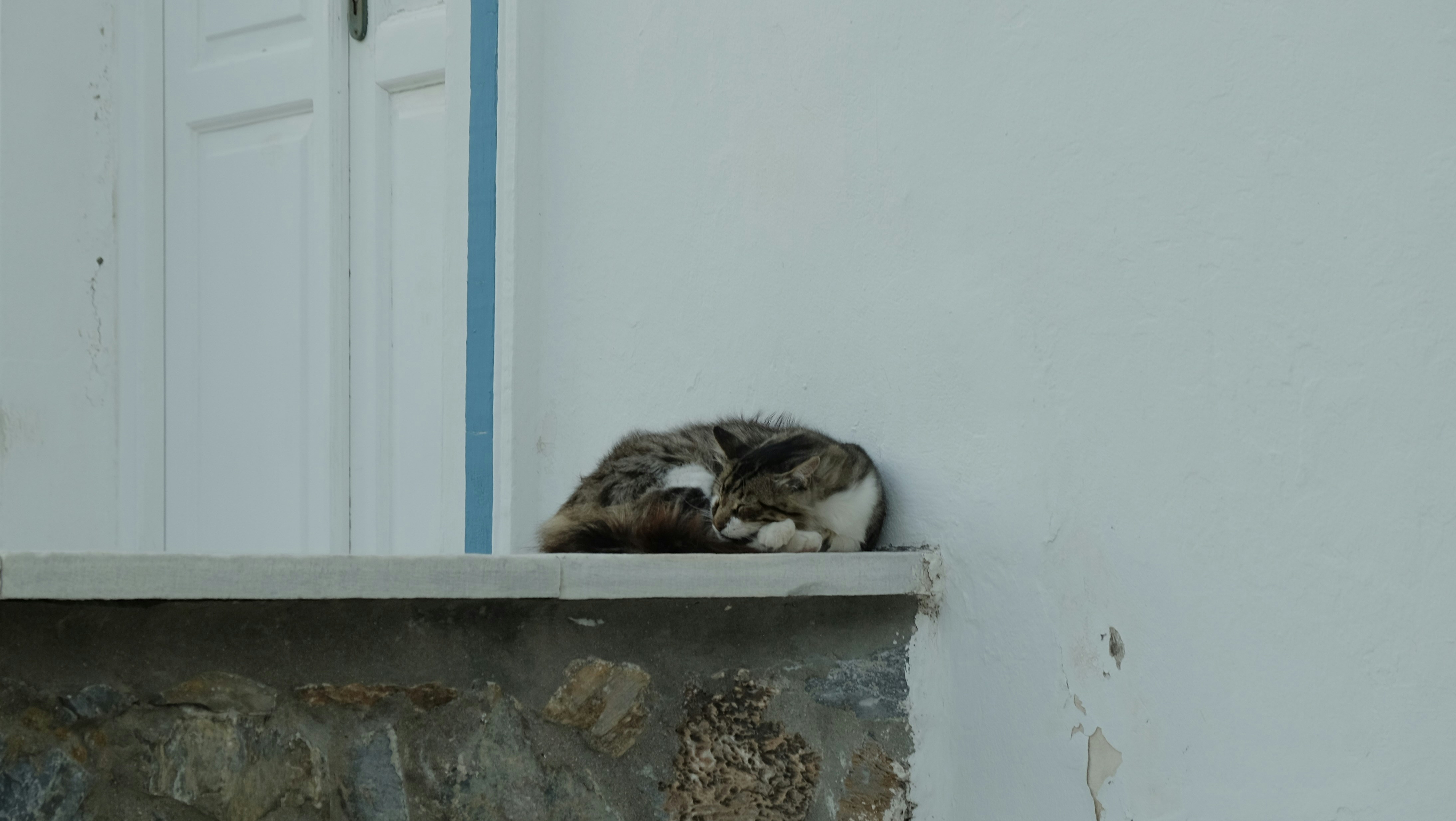 Back Sleeping: Utter Trust and Comfort