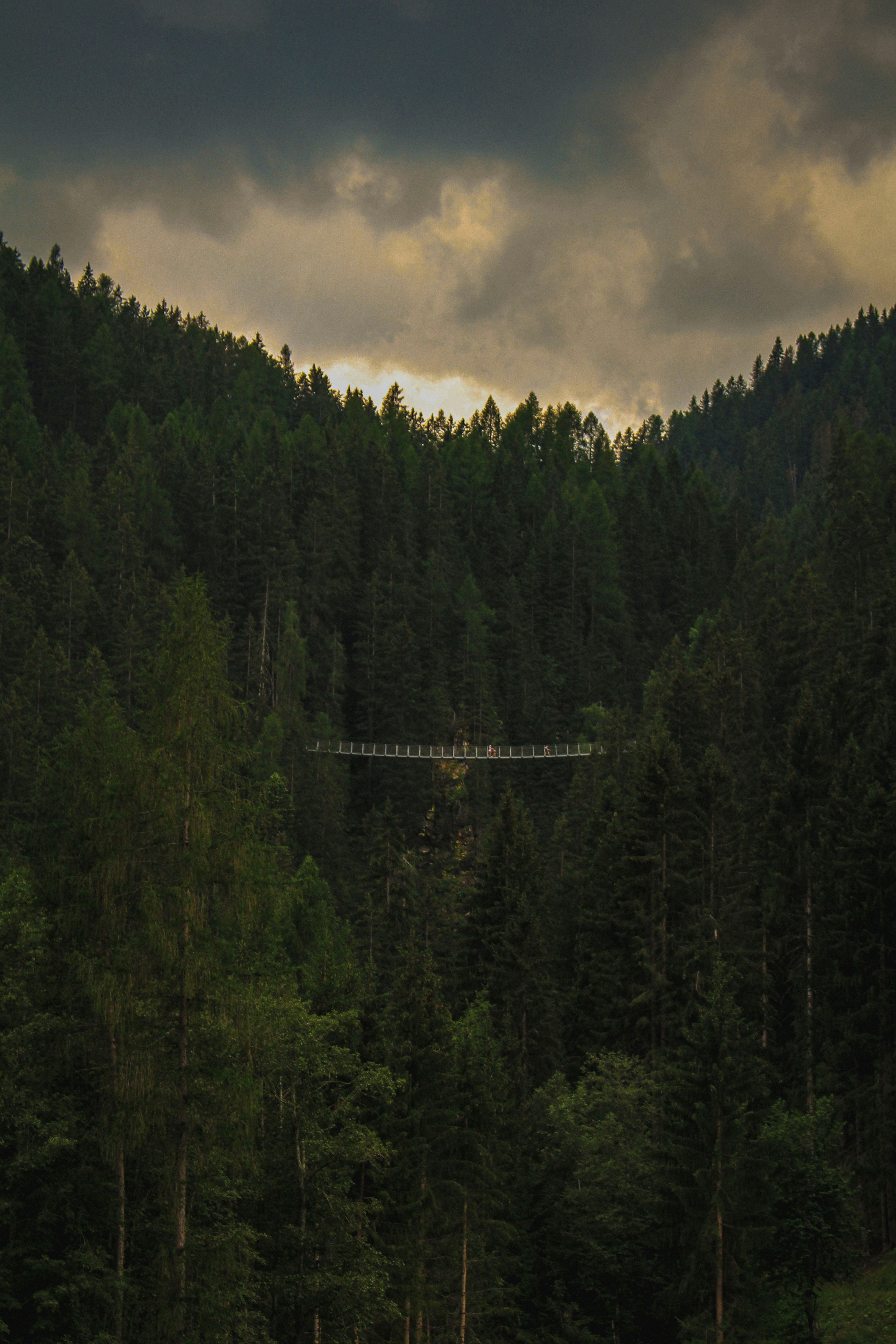 Photo by sofia_rotaru