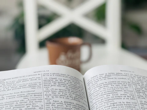 A candid shot of Monika Tep reading her memoir in a sunlit Los Angeles café.