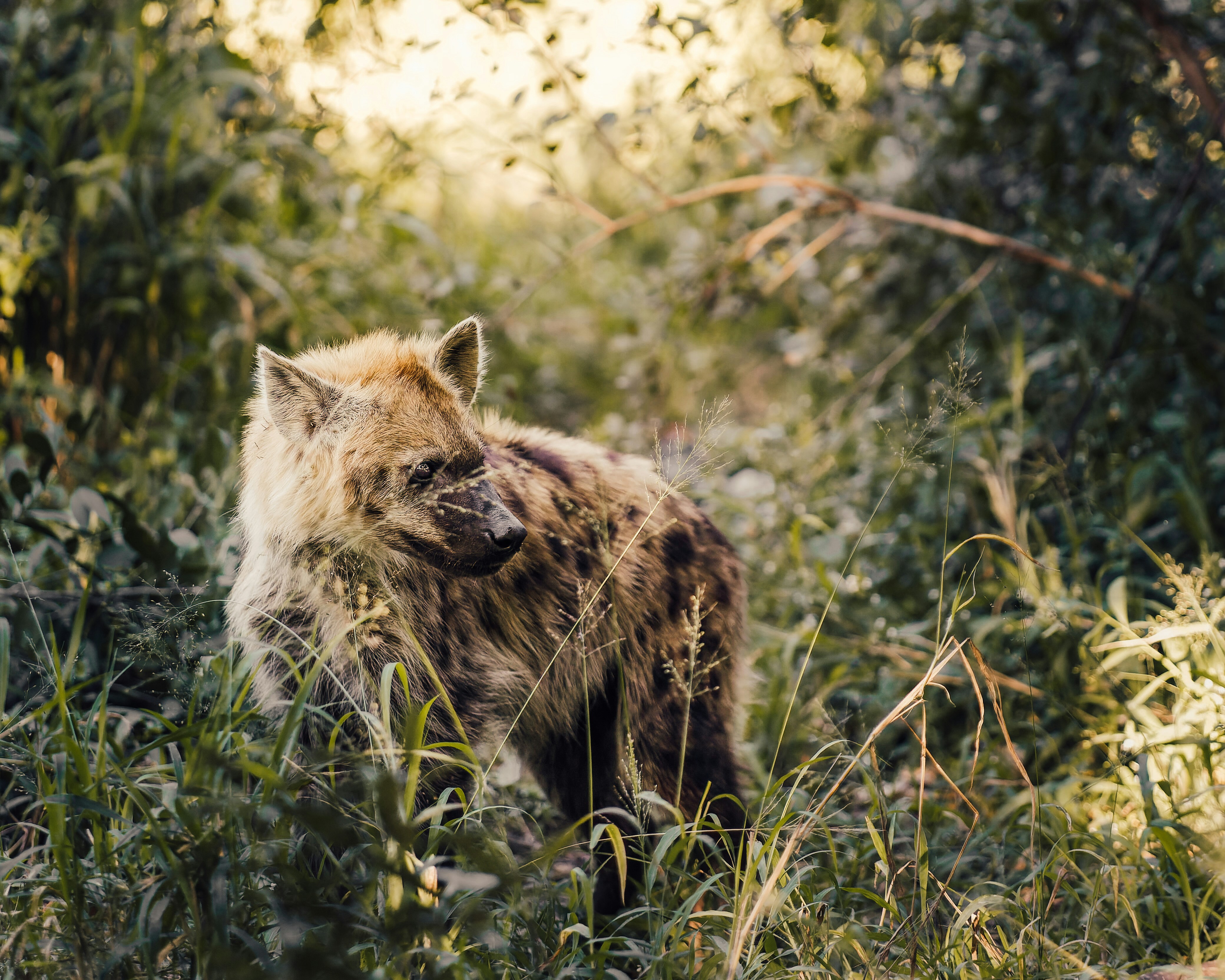 Environmental Stress and Human Impact (image credits: unsplash)