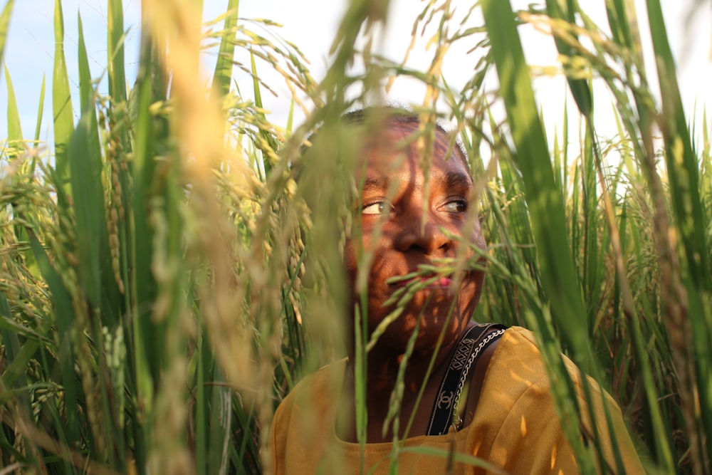 a person in a field of wheat