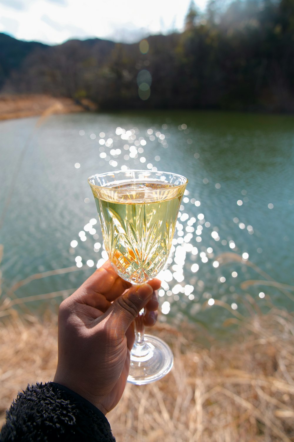 a hand holding a glass of champagne