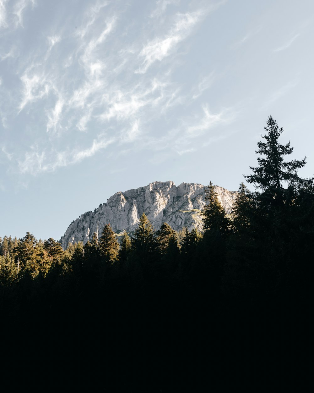 a mountain with trees in front of it