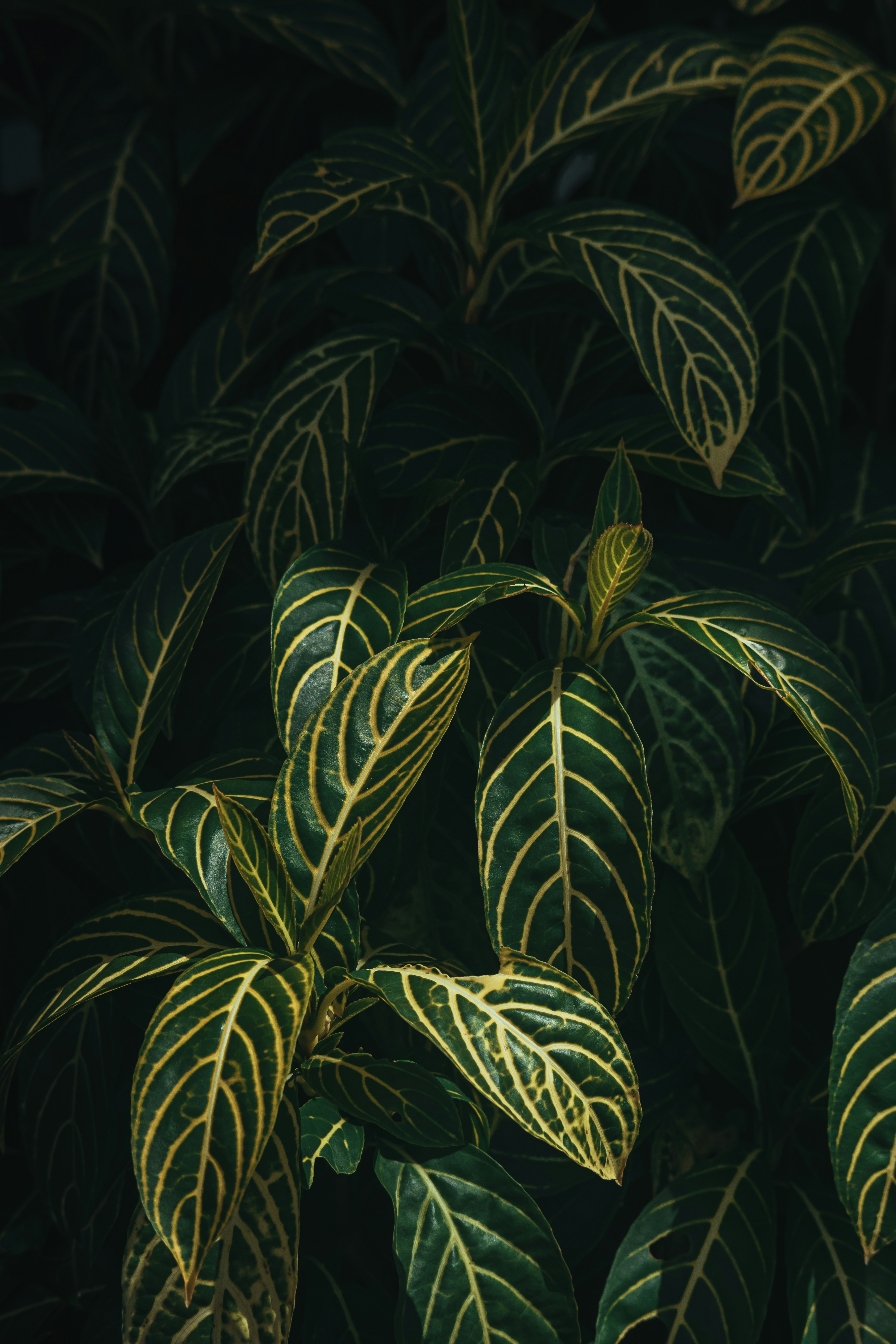 Photo by roadahead_2223