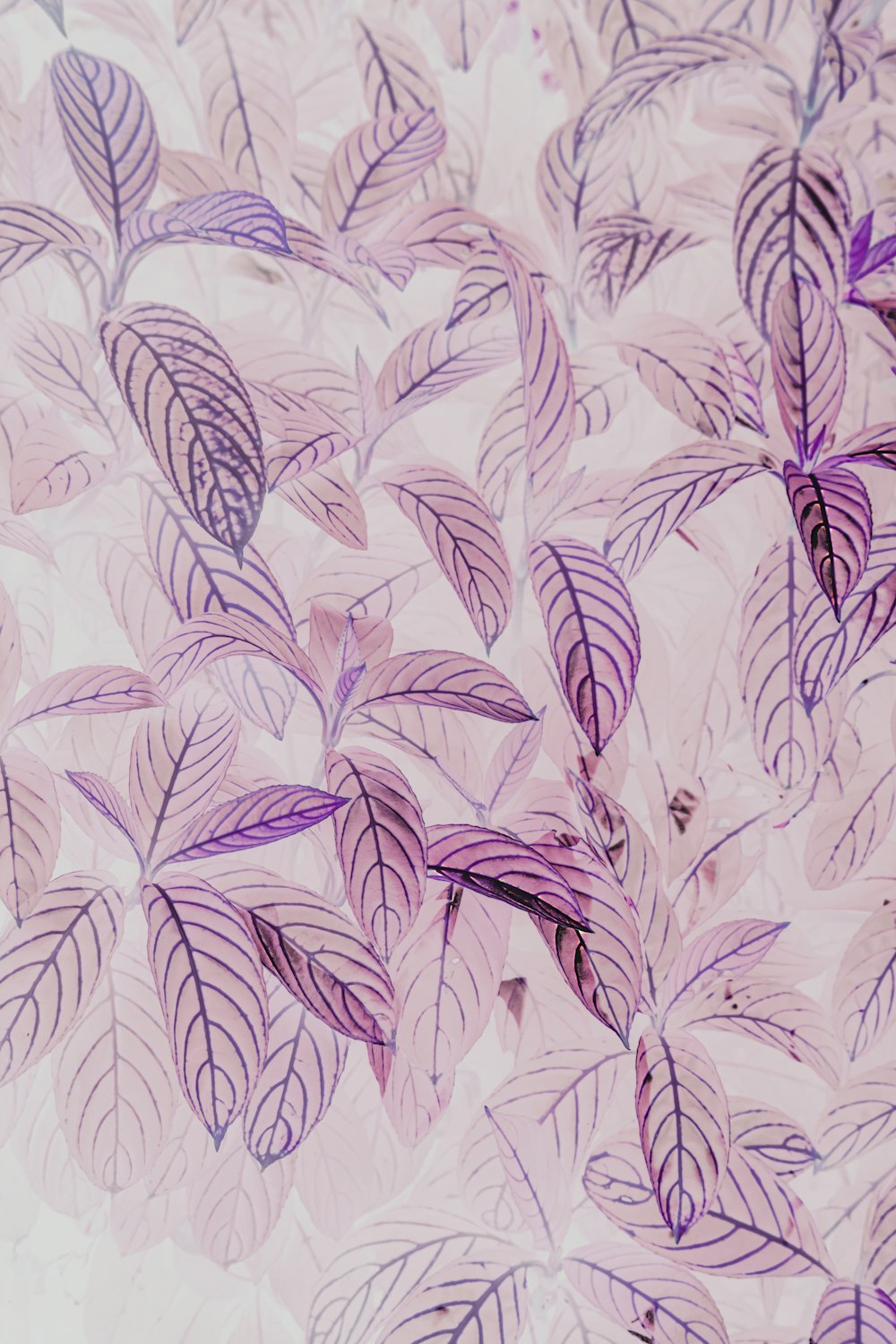 background pattern