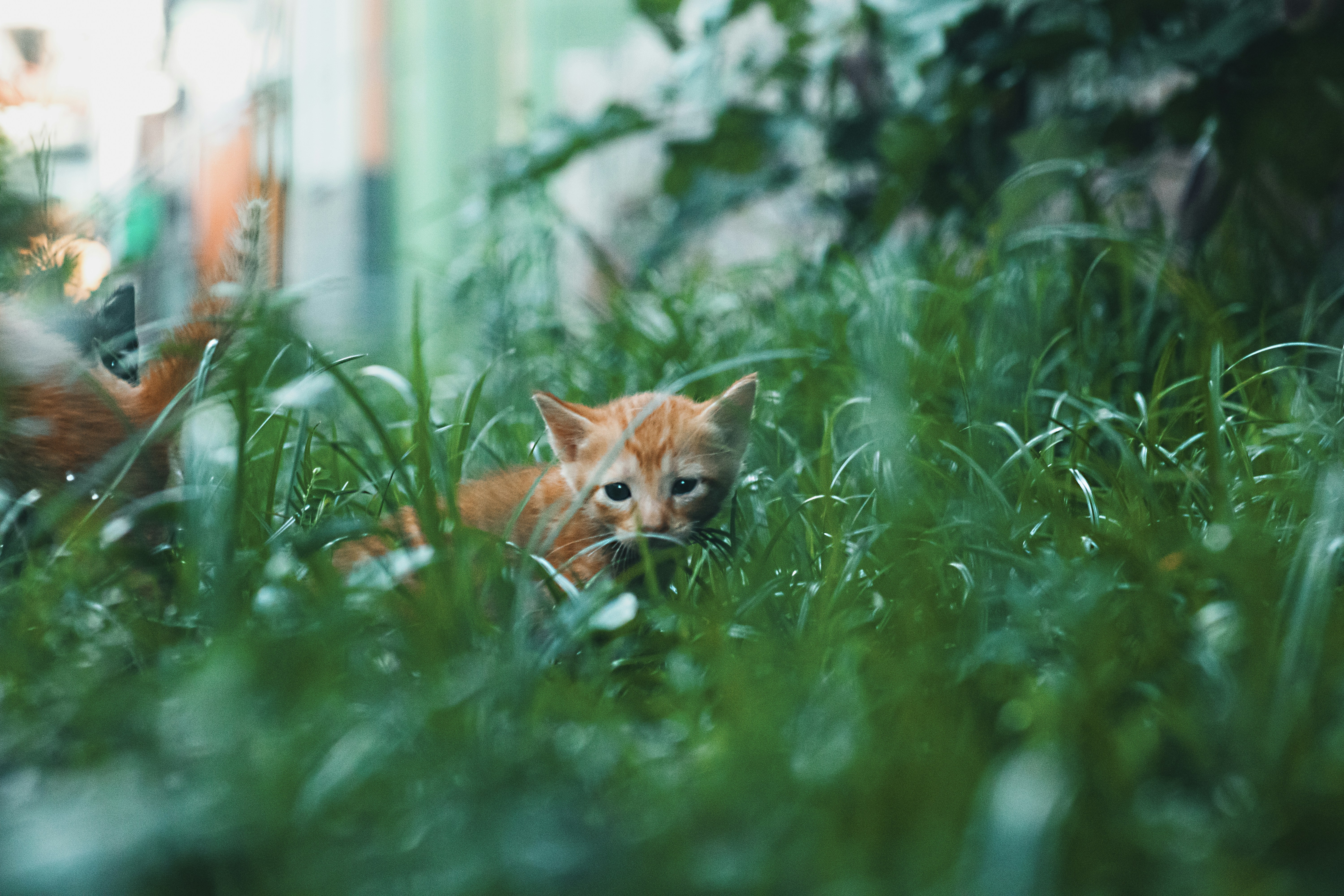 Photo by roadahead_2223