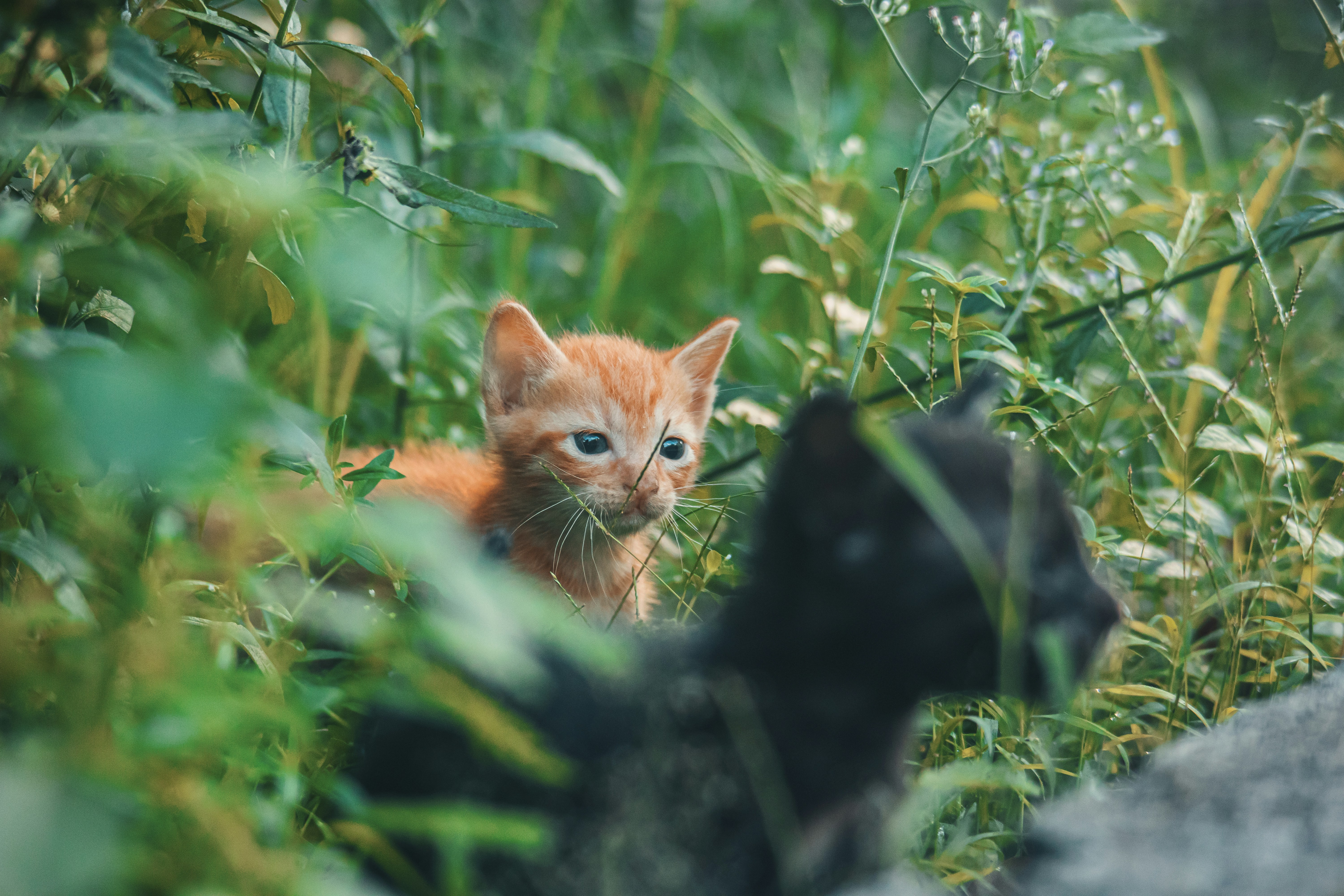 Photo by roadahead_2223