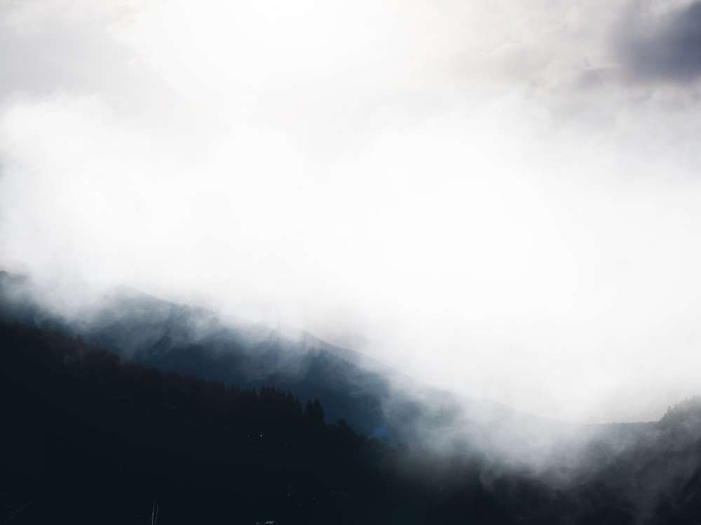 a foggy mountain with trees