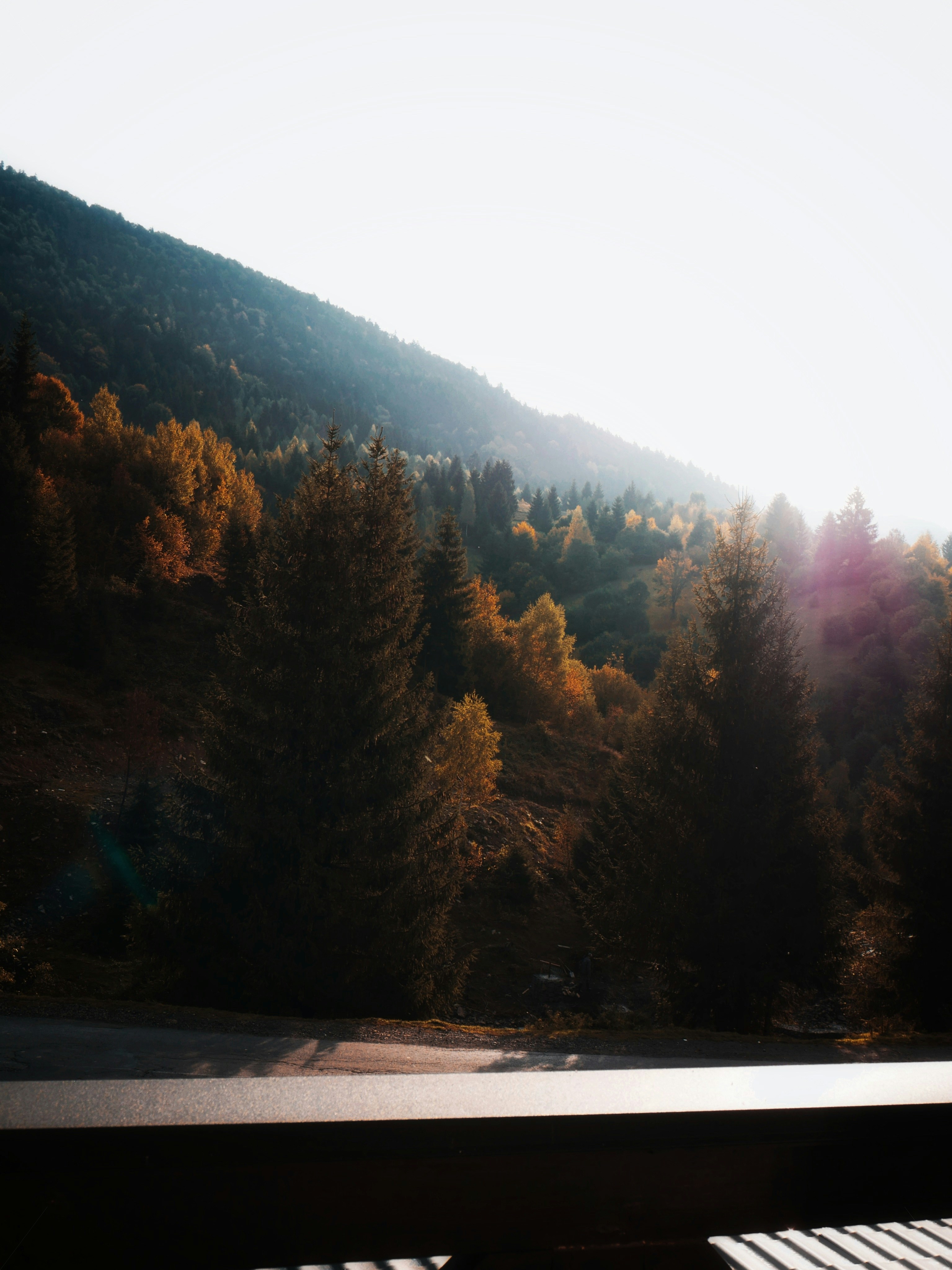 Photo by velikovskya