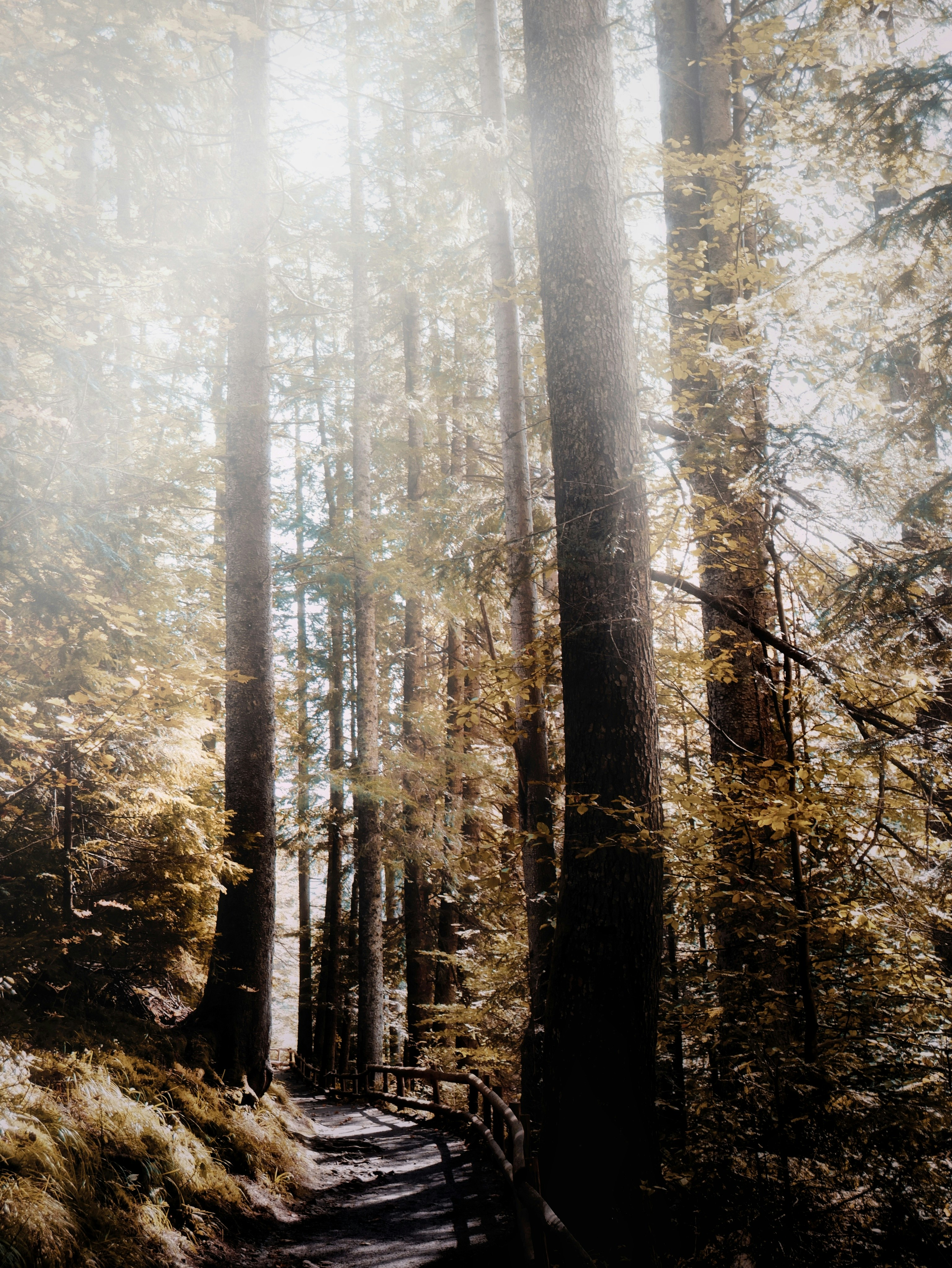 Photo by velikovskya