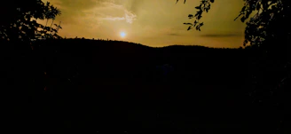 Sunset view over the rolling Tuscan hills with the silhouette of l albero di gamelí in the foreground