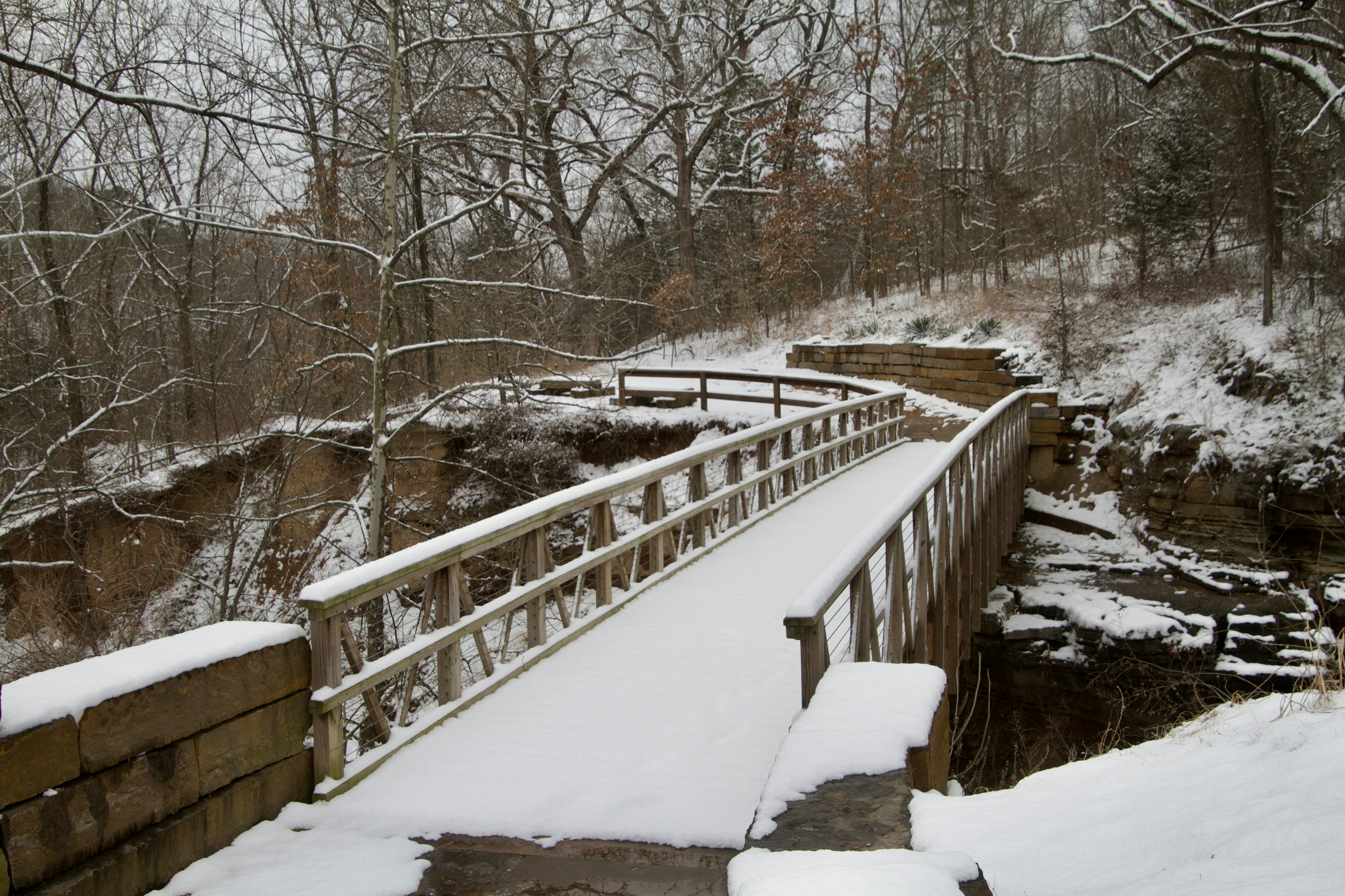 Photo by brianbreeding