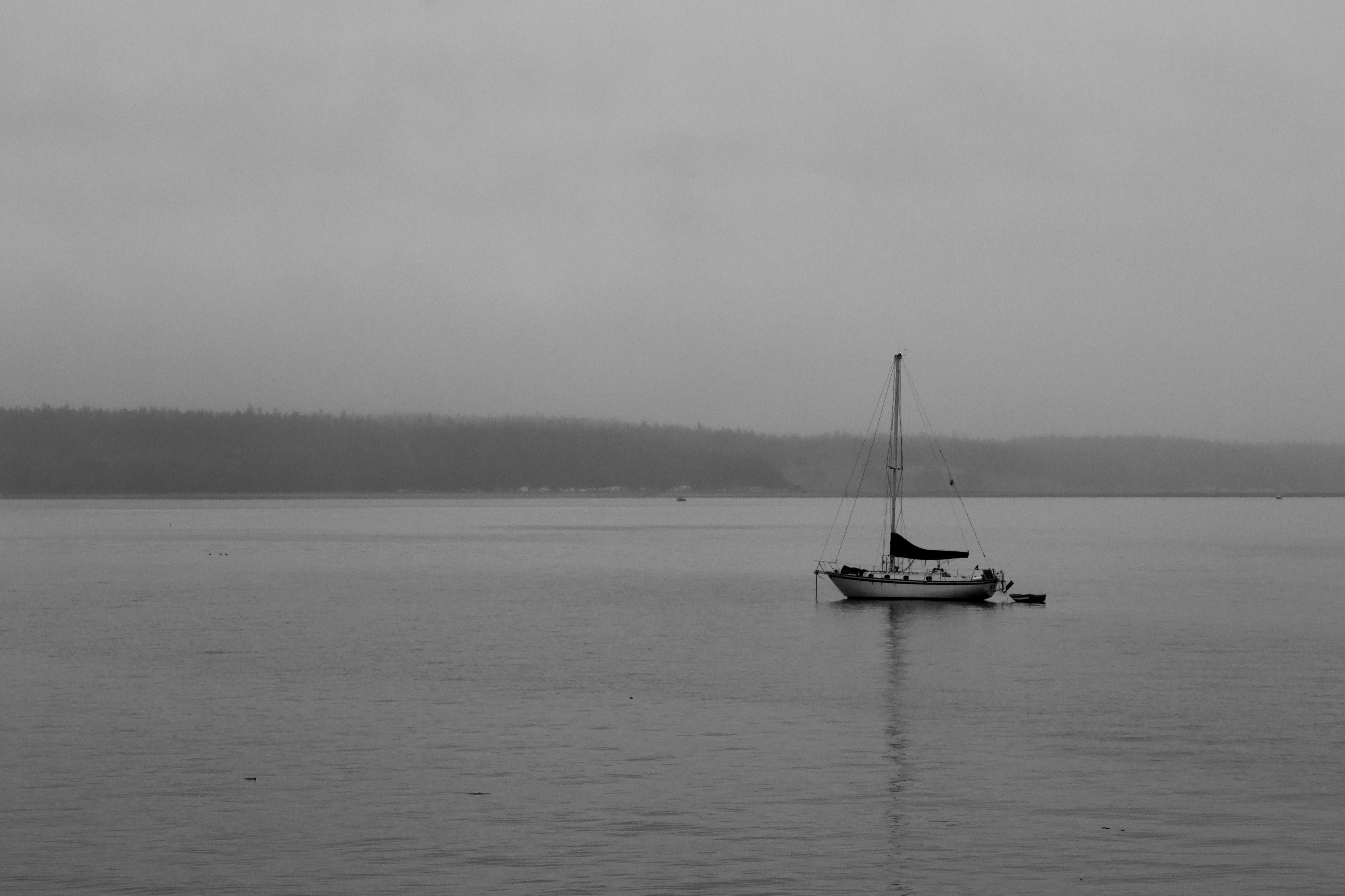 Photo by brianbreeding