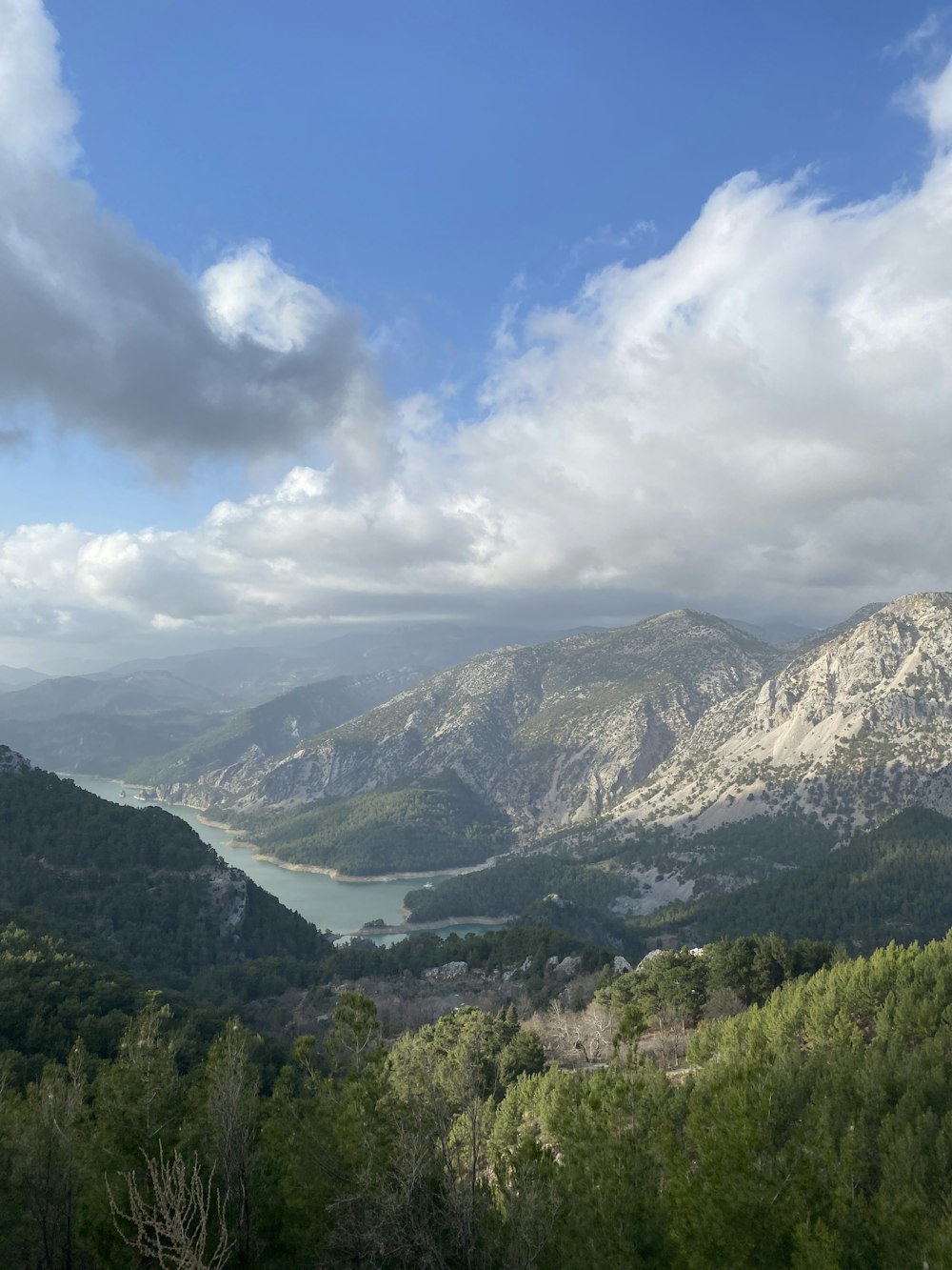 a landscape with trees and mountains