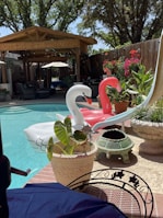 A backyard swimming pool surrounded by various plants and trees under clear skies. Two inflatable swan floats, one white and one pink, are positioned in the pool. A wooden gazebo provides a shaded seating area with patio furniture. Colorful potted plants and a small, decorative chiminea are placed along the poolside.