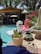 A backyard swimming pool surrounded by various plants and trees under clear skies. Two inflatable swan floats, one white and one pink, are positioned in the pool. A wooden gazebo provides a shaded seating area with patio furniture. Colorful potted plants and a small, decorative chiminea are placed along the poolside.
