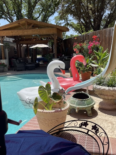 A backyard swimming pool surrounded by various plants and trees under clear skies. Two inflatable swan floats, one white and one pink, are positioned in the pool. A wooden gazebo provides a shaded seating area with patio furniture. Colorful potted plants and a small, decorative chiminea are placed along the poolside.