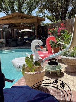 A backyard swimming pool surrounded by various plants and trees under clear skies. Two inflatable swan floats, one white and one pink, are positioned in the pool. A wooden gazebo provides a shaded seating area with patio furniture. Colorful potted plants and a small, decorative chiminea are placed along the poolside.