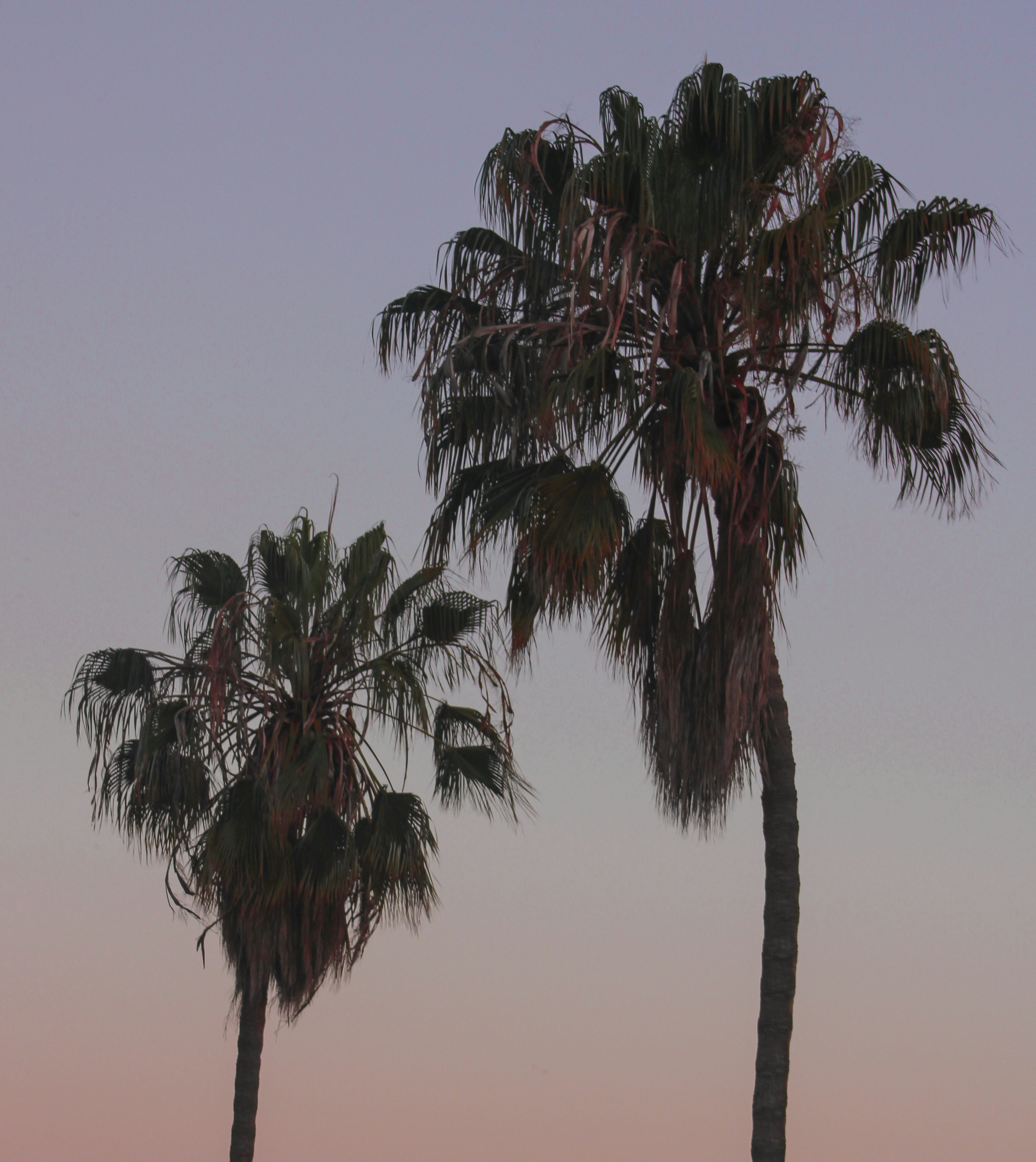 Photo by zoeeefitzgerald