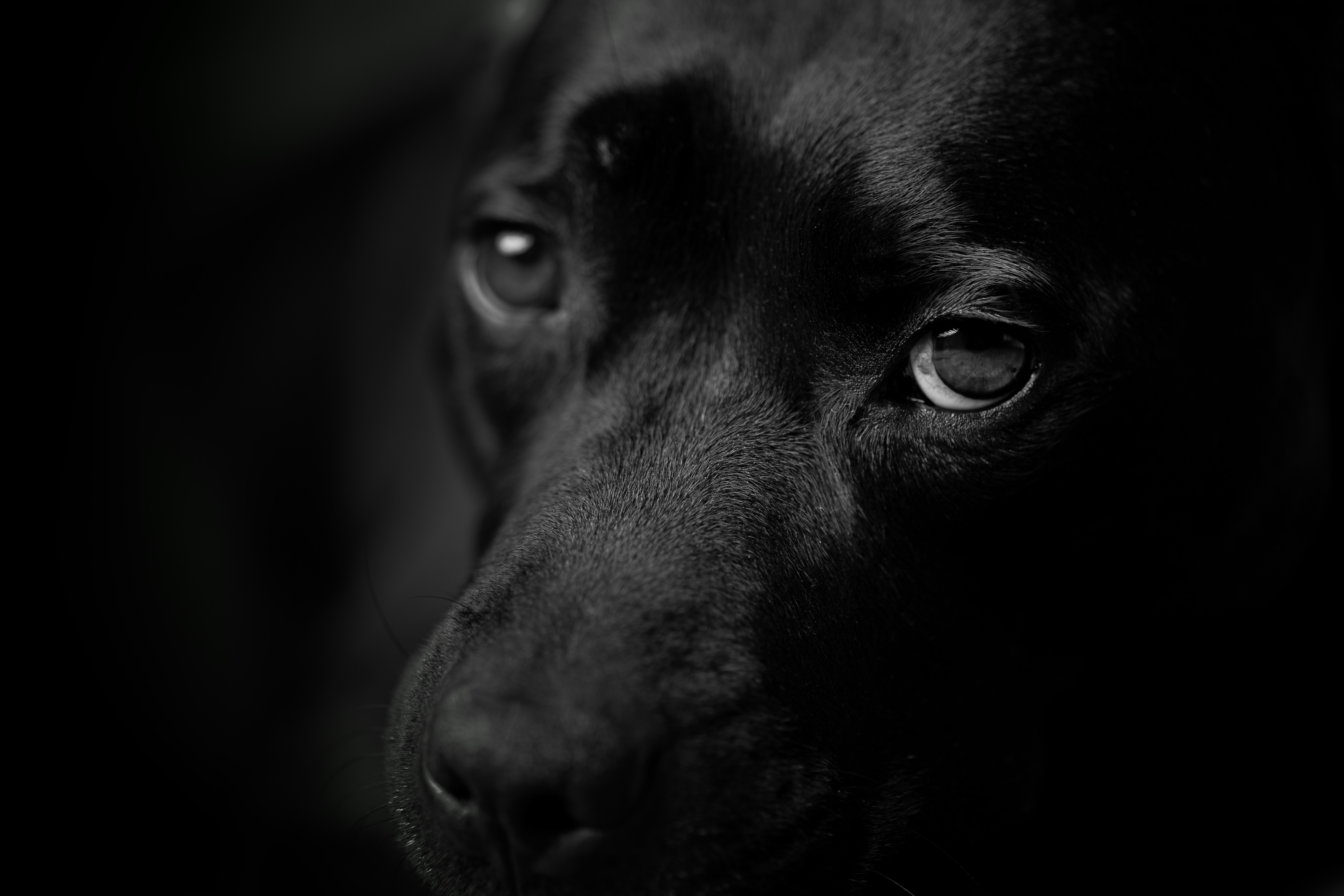 Photo by victor_vector