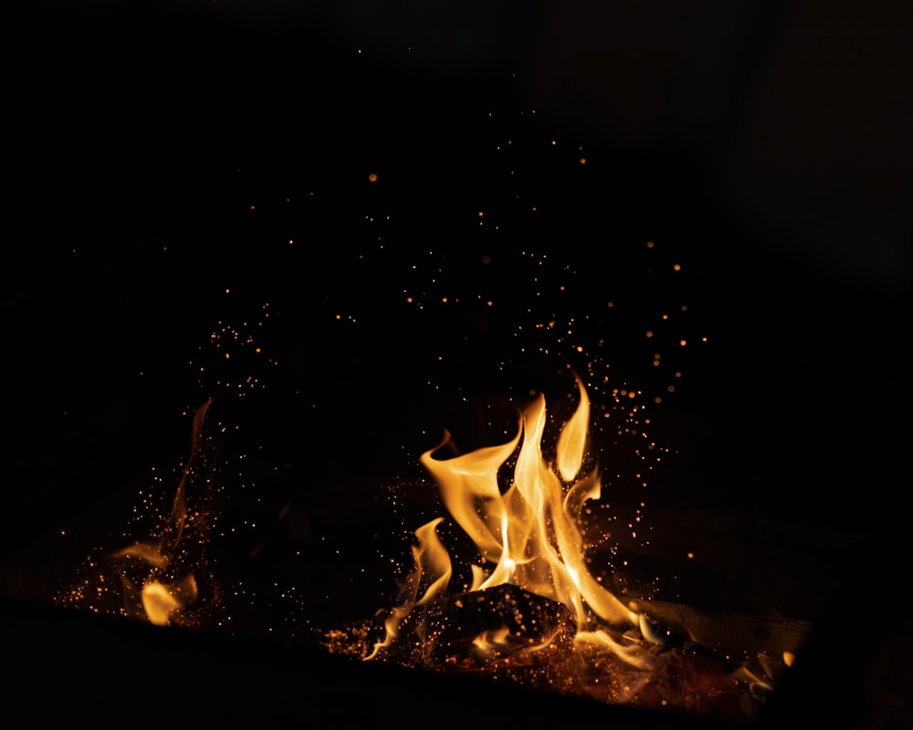 a campfire at night