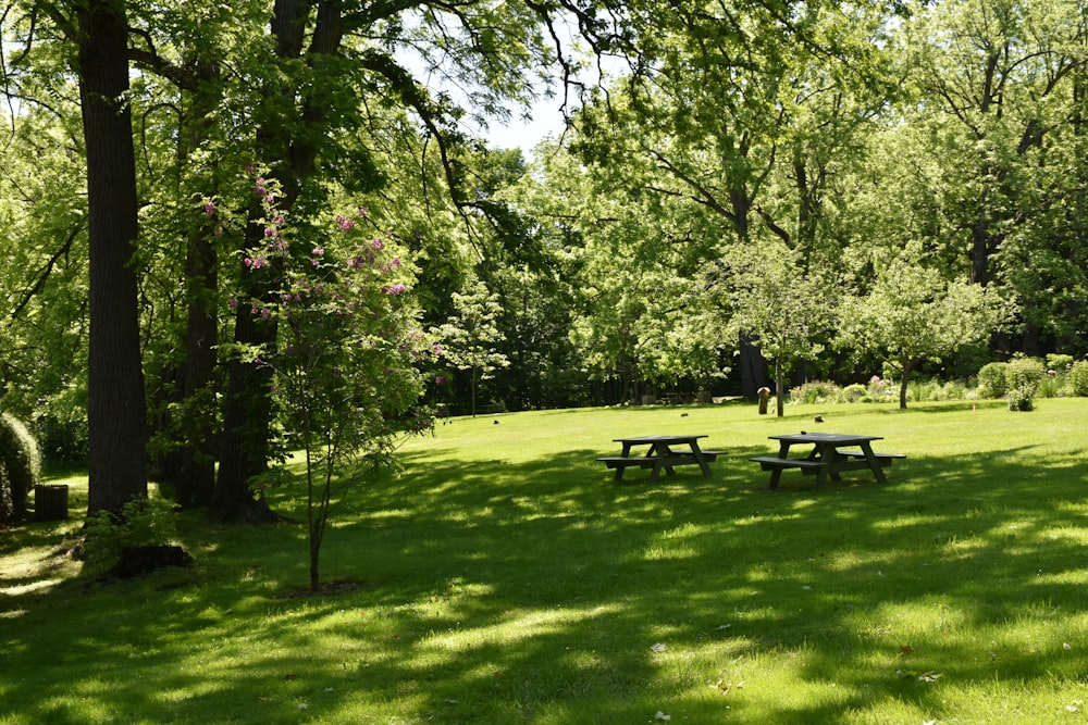 Un parque con mesas de picnic