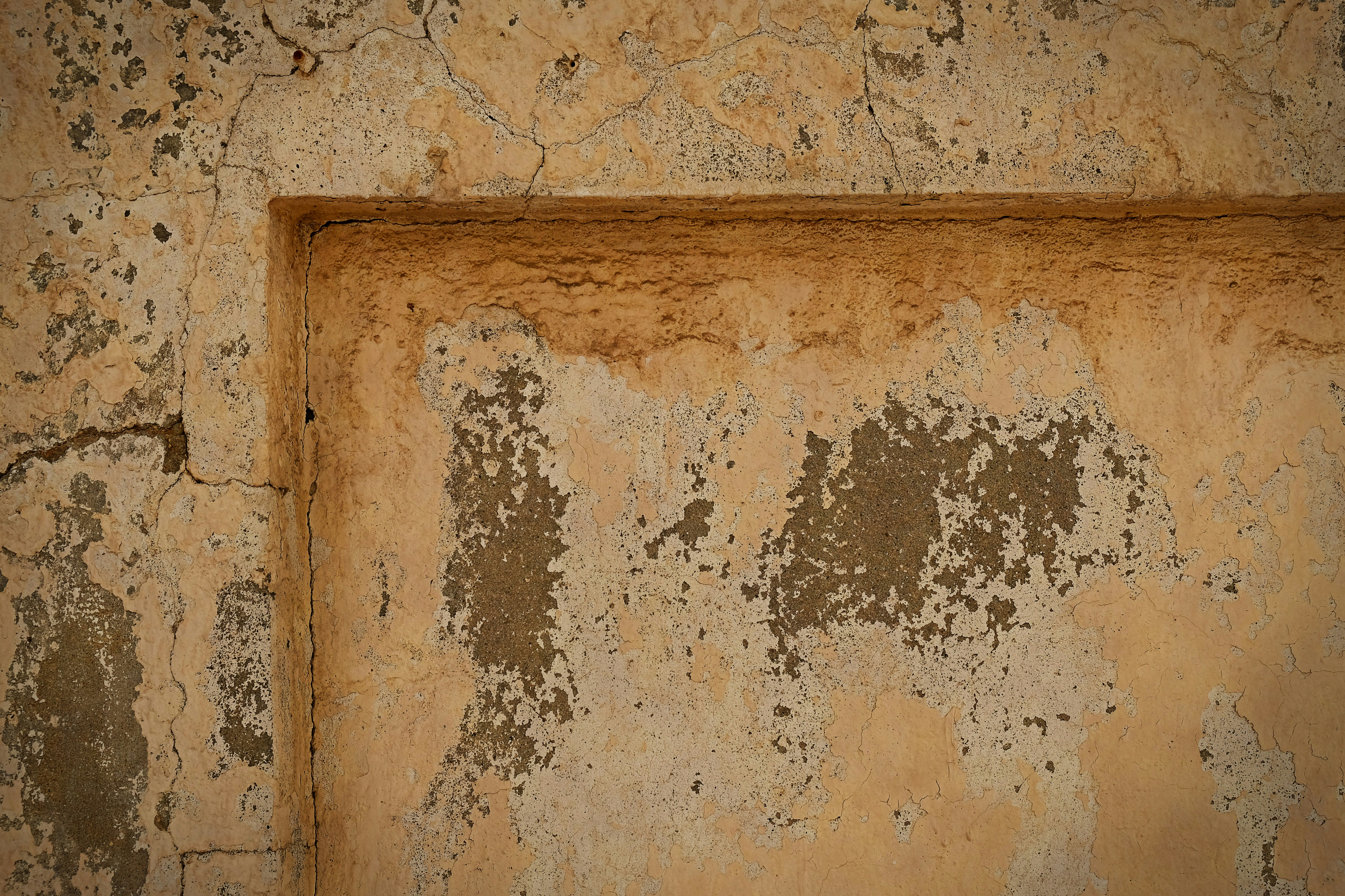 A close-up of a wall photo – Free Rust Image on Unsplash