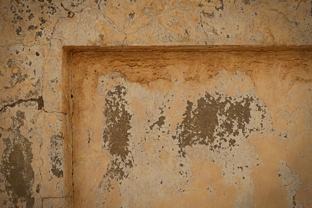 a close-up of a wall