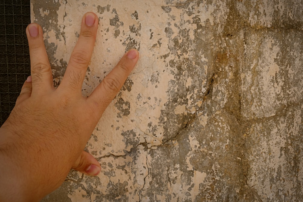 Eine Hand mit einem Finger, der auf einen Felsen zeigt
