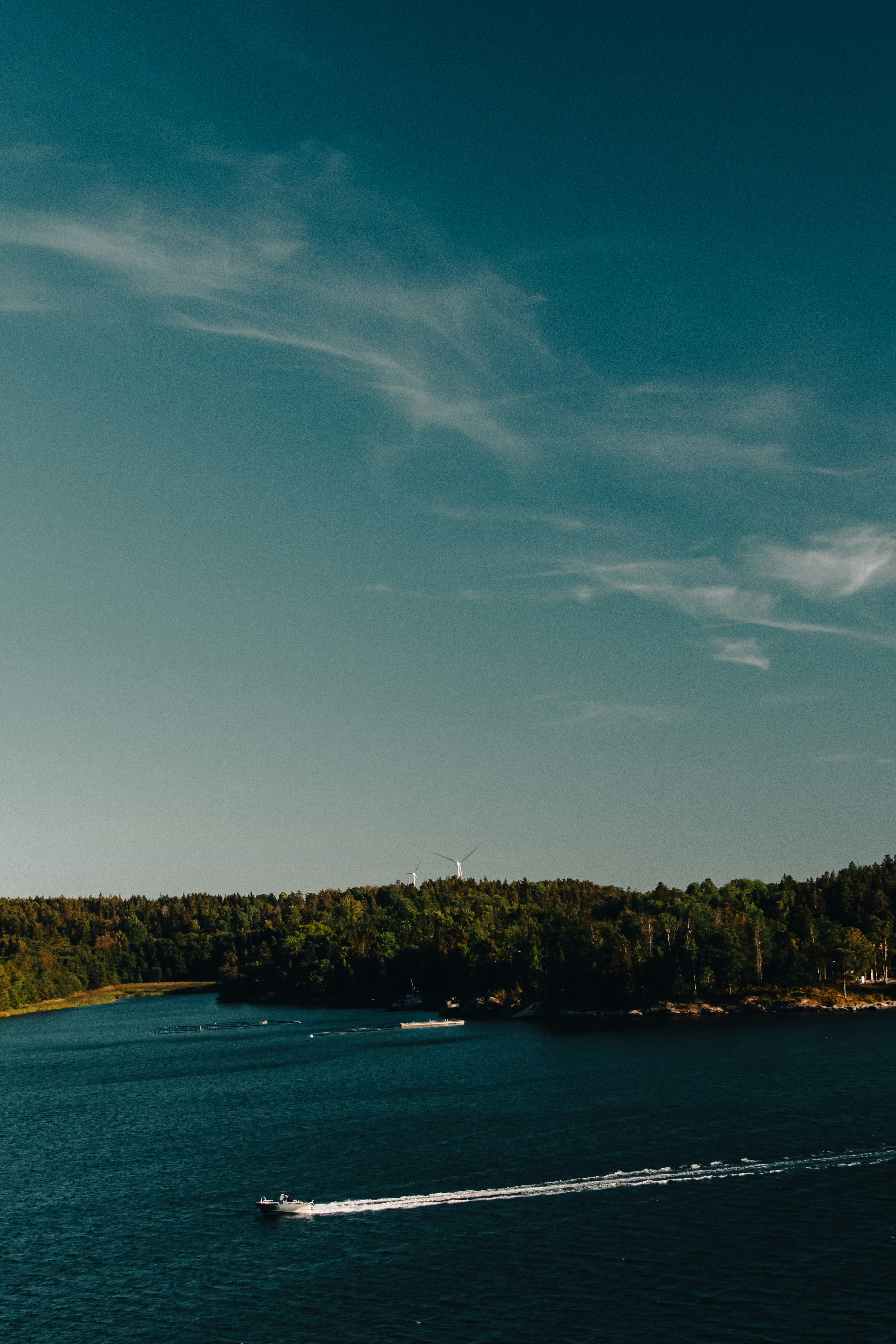 側面に木がある水域