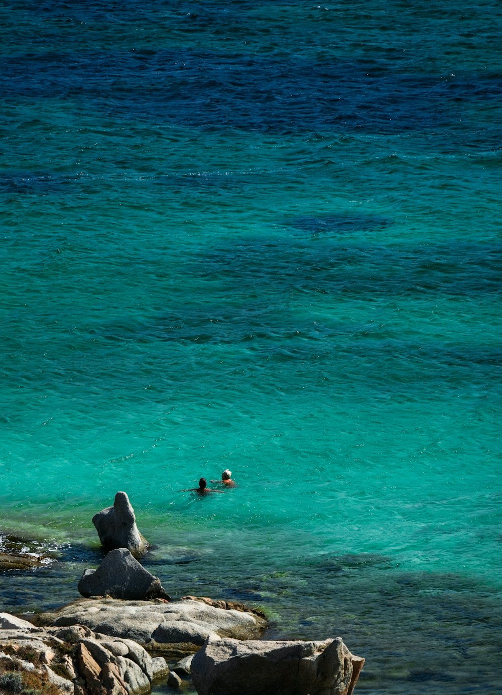 a group of people swimming in a body of water