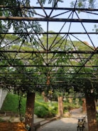 A completed project showcasing a beautiful canopy.