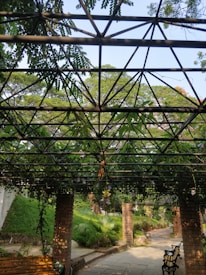 A garden canopy constructed with metal beams adorned with lush green vines and purple flowers. Sunlight streams through the gaps, casting intricate shadows on the ground. Brick pillars support the structure, and there are benches alongside a paved pathway. Surrounding foliage and trees add to the tranquil setting.