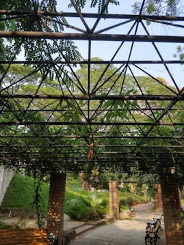 A garden canopy constructed with metal beams adorned with lush green vines and purple flowers. Sunlight streams through the gaps, casting intricate shadows on the ground. Brick pillars support the structure, and there are benches alongside a paved pathway. Surrounding foliage and trees add to the tranquil setting.