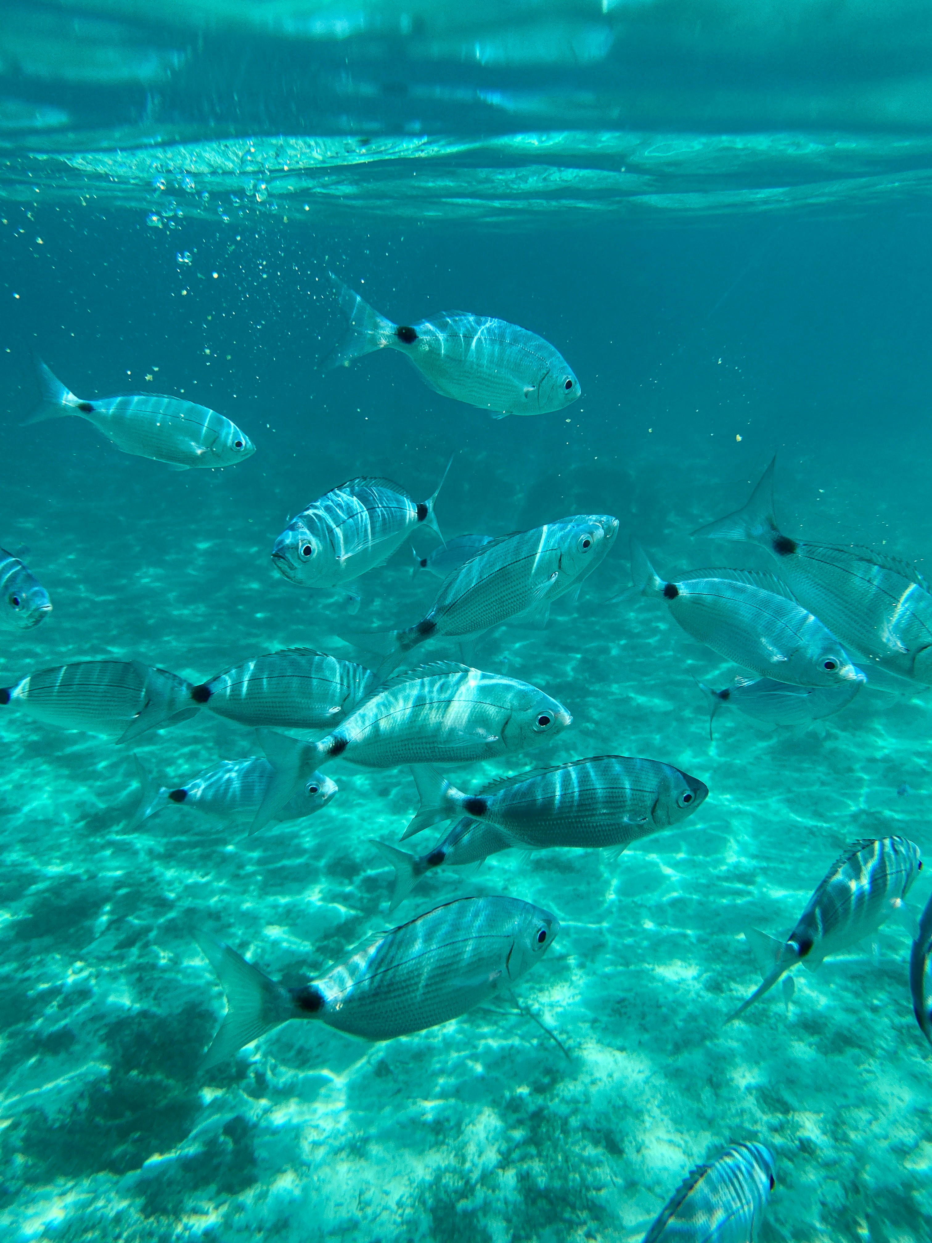 Photo by qq1609792871