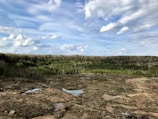 A vast landscape featuring a clear blue sky with scattered clouds above a dense forest. The foreground shows a cleared area with patches of water and exposed soil, indicating land development or deforestation.