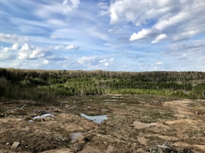 A scenic plot of land ready for development under a clear sky.