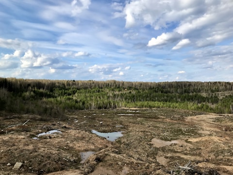 A vast landscape featuring a clear blue sky with scattered clouds above a dense forest. The foreground shows a cleared area with patches of water and exposed soil, indicating land development or deforestation.