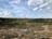 A vast landscape featuring a clear blue sky with scattered clouds above a dense forest. The foreground shows a cleared area with patches of water and exposed soil, indicating land development or deforestation.